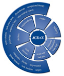 AGR concept